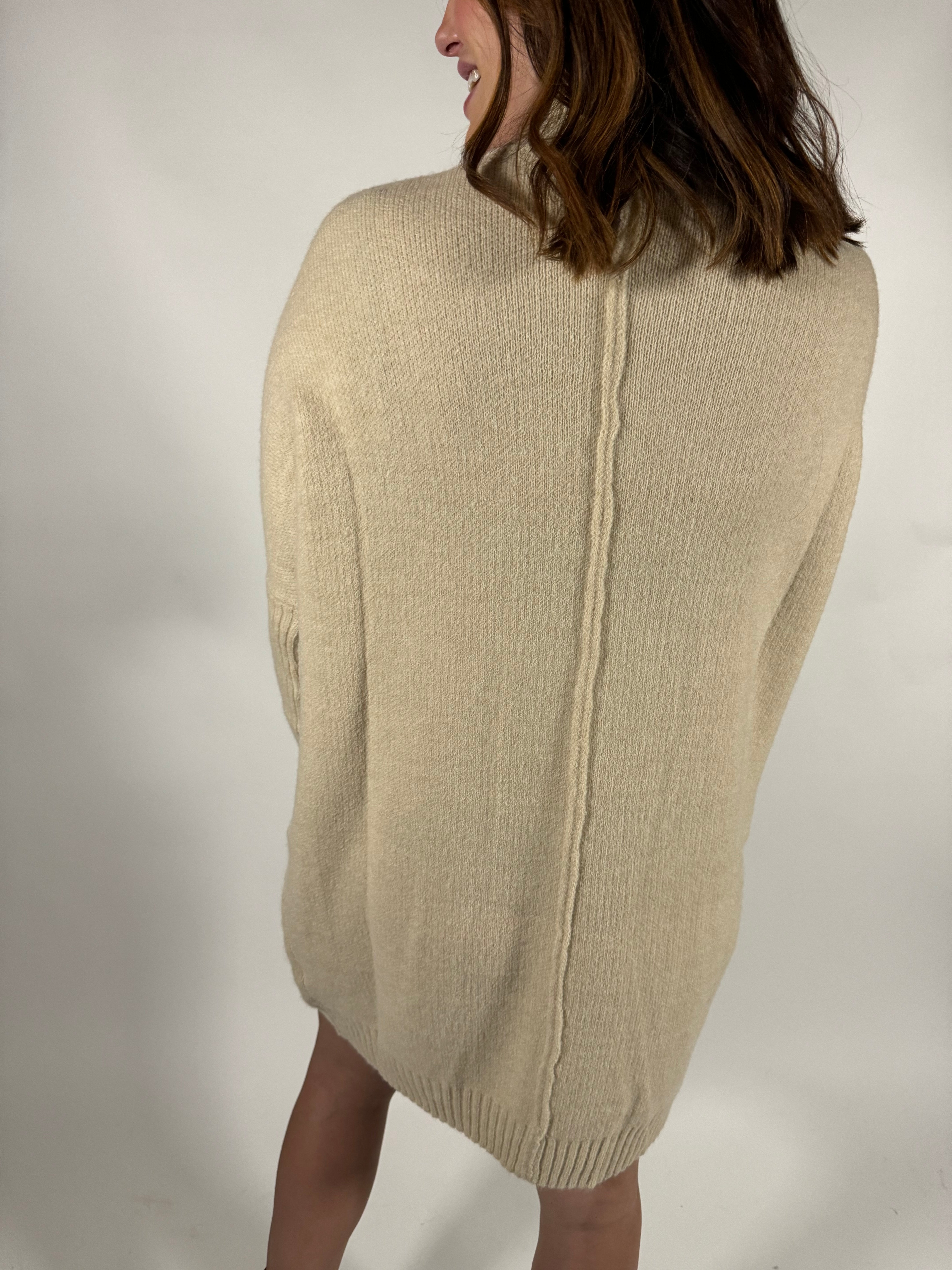 Mock Neck Front Seam Sweater Dress